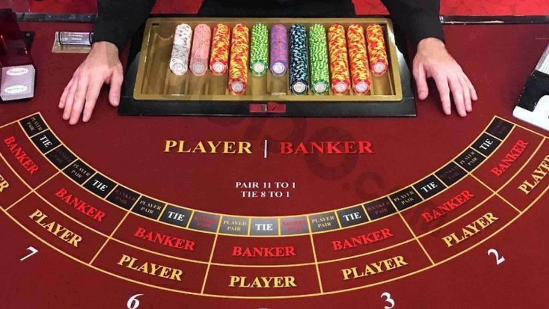 Top Board Games for Every Collection